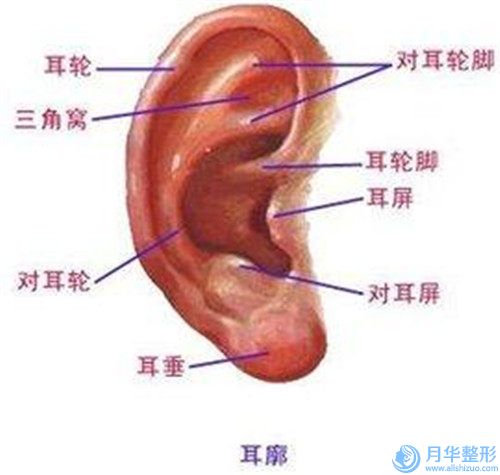 荊州市物理豐胸醫(yī)院口碑排行前十佳較新榜單發(fā)布（霏漾醫(yī)療美容診所資料_拿手項(xiàng)目評(píng)價(jià)一覽）