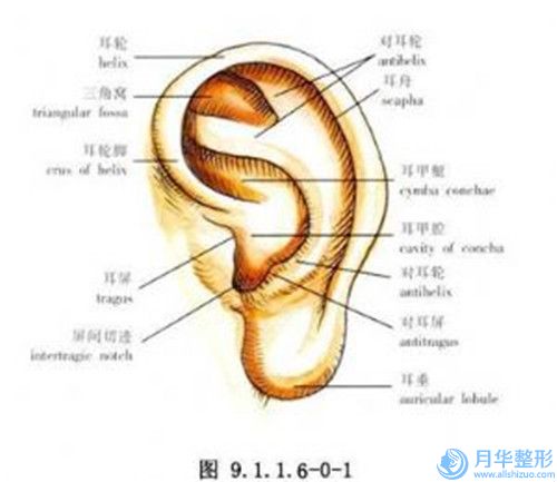 六盤水市做手術(shù)豐胸醫(yī)生排名榜前十強(qiáng)強(qiáng)強(qiáng)比拼（米春方醫(yī)生業(yè)內(nèi)直呼內(nèi)行）