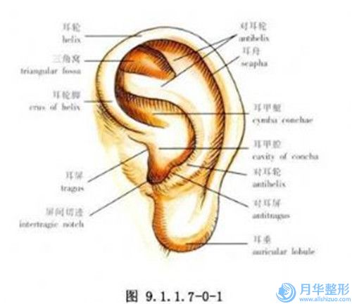 夾江縣臺世星彩醫(yī)學美容診所價格搶先看-夾江縣臺世星彩醫(yī)學美容診所副乳切除要多少費用