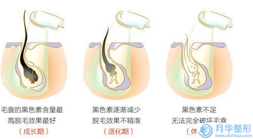 重慶市伊維蘭豐面頰醫(yī)生名單收藏-重慶市伊維蘭豐面頰整形醫(yī)生