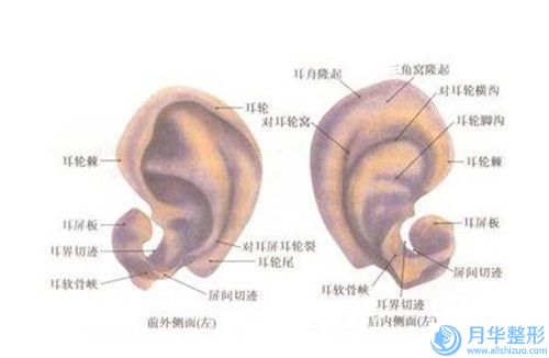 臨沂做注射豐胸術(shù)價格多少哪家醫(yī)院好