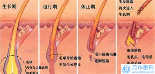 晉中豐面頰玻尿酸手術(shù)的價(jià)格是多少效果如何