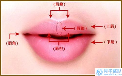 自體脂肪隆下巴貴對(duì)視力有什么影響