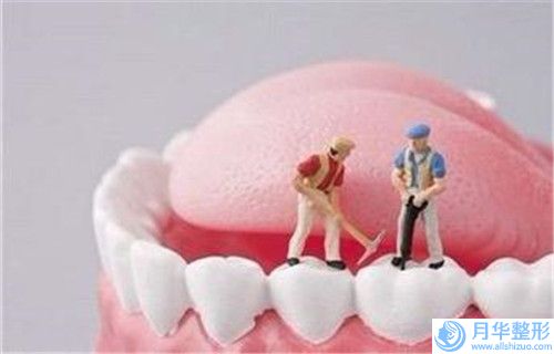 嘉興市背部瘦身抽脂價目表大全曝光一覽-近8個月均價為4018元