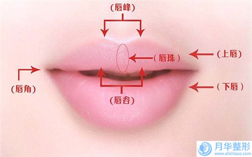 哈爾濱雅博口腔門診部自體脂肪墊下巴手術(shù)所需要的費用是多少