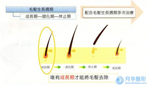 安鋼總醫(yī)院整形科價格表(費用)全新版本-拍打瘦臉案例