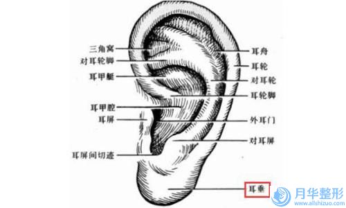 西寧市手術(shù)自體脂肪隆胸醫(yī)院哪家哪家好些-手術(shù)自體脂肪隆胸費用到底需要多少